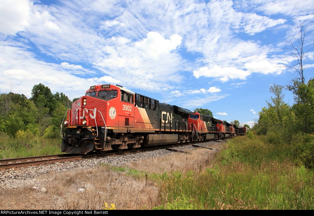 CN 3902